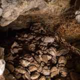 Una cascata di macerie e terra che scende da un�apertura nel soffitto invadendo l�intero antro, ci costringe a camminare carponi per oltrepassarla, raggiungendo cos� la parte pi� nascosta di tutto il complesso